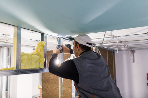 Best Energy Efficiency Insulation in New Carrollton, MD