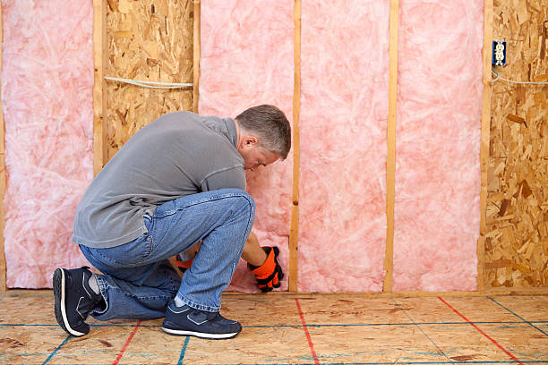 Best Commercial Insulation in New Carrollton, MD